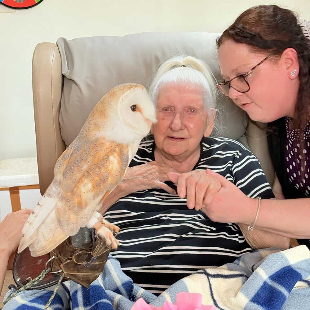 Wildlife day at Halvergate House